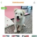 포인