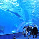 고래생태체험관 화장실 이미지