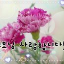 🌼🌼🌼 최강공군 804기 🌼🌼🌼 2020년 5월 4일 (월) 출부입니다 🌼🌼🌼 이미지