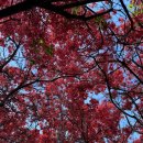 청출어람태권도장 이미지