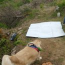 (주)골든리버 이미지