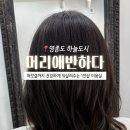 머리애 봄 - 해운대구 | 머리애 봄