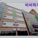 비버원룸텔
