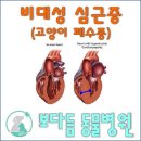 보다듬동물병원 네이버블로그