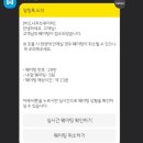 나무와피자 | 강릉또간집 버드나무브루어리 주차 예약 송고버섯피자 솔직후기