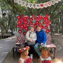 [아내 77세 희수(喜壽) 기념 여수 여행]- 2026. 3. 3 -4 이미지