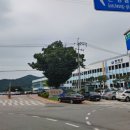 영덕군 관광안내소 이미지