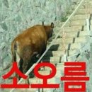 포시즌인사이드