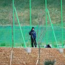 서울상봉초등학교 이미지