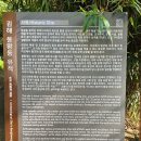 김해봉황동유적관광안내소 | 도심 속 가야 여행, 김해 봉황동 유적지 힐링 산책