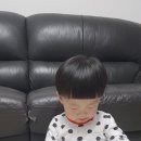 포더주니