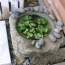 바위농장 이미지