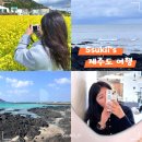 [국내여행/제주] 3월 제주도 4박5일 여행 일정 숙소 코스 추천 4일차 제주여행