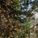 첨단중앙로182번길 이미지