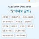 고창반띵여행 환급방법 (상하농원, 파머스빌리지, 우정회관, 백일후애, 선운회관, 고창읍성) 3차 신청기간