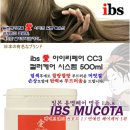 아이비에스코리아 이미지