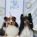 이지스힐 이미지