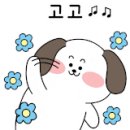 개뭉치 반려견 훈련센터 이미지