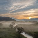 화포천생태습지공원 이미지