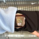 댕댕특별시 | 댕댕런 고구마런 8키로 코스 6분 7분 페이스