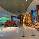 경상남도 산림박물관 이미지