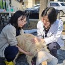 진보동물병원 이미지