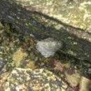 개울건너 스테이 이미지