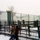 일헌농원 이미지