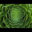 Crop circles - fractals, Circulos de las cosechas - fractales! 이미지