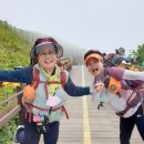 모노랜드 이미지