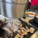 제주 생갈비 티스토리