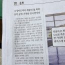 예술인기살리기 네이버블로그