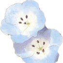 권선 모터스 이미지