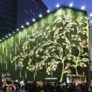 네이처리퍼블릭 카카오 검색결과