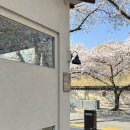 계림로(남) 이미지