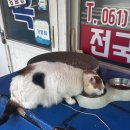 순이네해물나라 | 번외 편, 여름휴가 일기[여수🌊8/13~8/15]