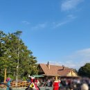 허니드리밍 이미지