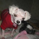 옹기종기 이미지