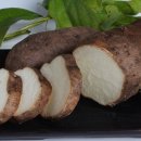 황진농장 이미지