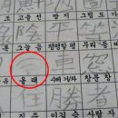 올래 Daum카페