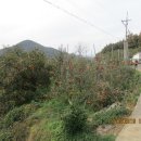 바위 포토죤 이미지