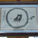 DMZ, 평화의 편지 이미지