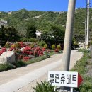 엘린휴버트 이미지