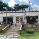 지리산하늘과바람과별과개 이미지