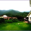 도깨비한의원 이미지