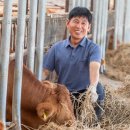 부용한우영농조합법인 발효사료공장 | 공동체의 힘으로 이어가는 안심대안한우 축산