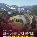 용평관광단지 이미지