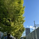 [후기] 241118 UNISON SQUARE GARDEN 20th anniversary SPECIAL LIVE 「名古屋が極まる」 w/04 Limited...