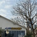 바다양푼이동태탕(목포터미널점) 이미지