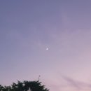 돈까스빌리지 이미지